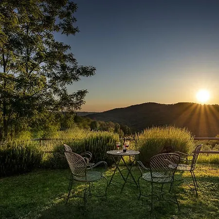 Castello Di Cafaggio