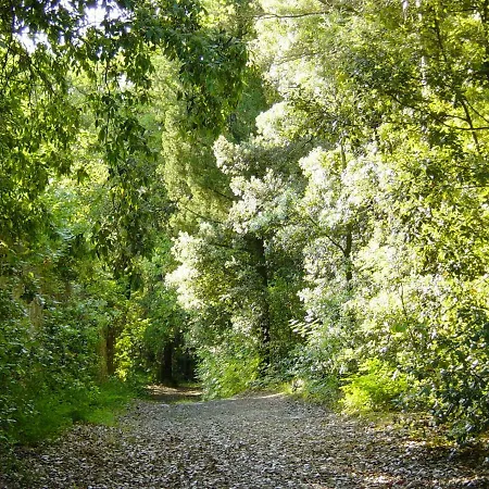 וילה Castello Di Cafaggio אימפרונטה