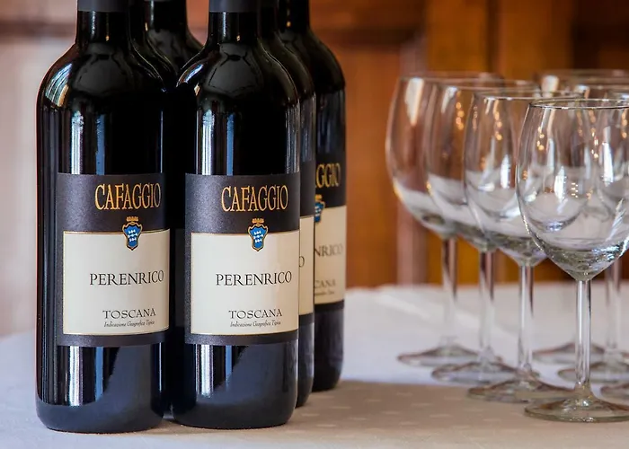 Castello Di Cafaggio Impruneta