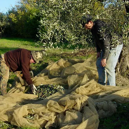 Castello Di Cafaggio Villa