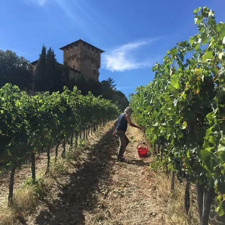 Castello Di Cafaggio *